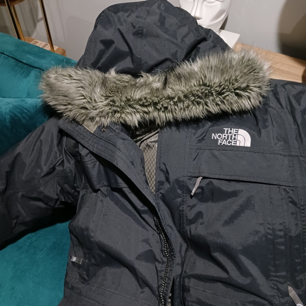 Men Northface Parka